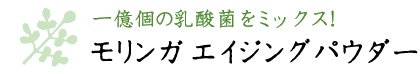 一億個の乳酸菌をミックス！モリンガ エイジング パウダー