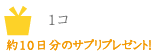 約10日分のサプリ1コプレゼント！