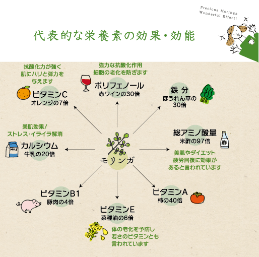 代表的な栄養素の効果・効能