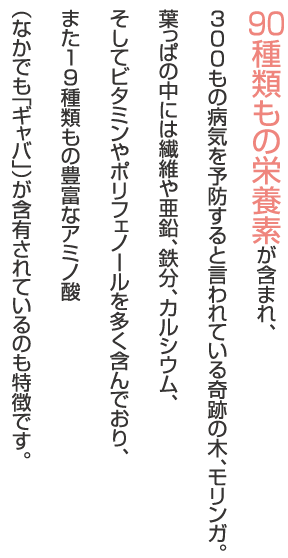 90種類もの栄養素が含まれ、300もの病気を予防すると言われている奇跡の木、モリンガ。葉っぱの中には繊維や亜鉛、鉄分、カルシウム、そしてビタミンやポリフェノールを多く含んでおり、また19種類もの豊富なアミノ酸（なかでも「ギャバ」）が含有されているのも特徴です。