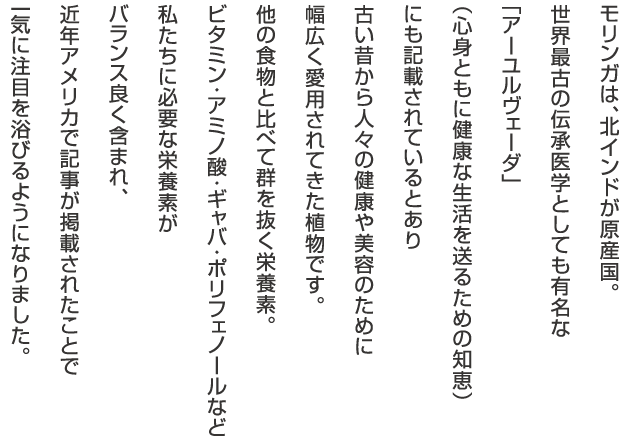 モリンガは、北インドが原産国。世界最古の伝承医学としても有名な「アーユルヴェーダ」（心身ともに健康な生活を送るための知恵）にも記載されているとあり古い昔から人々の健康や美容のために幅広く愛用されてきた植物です。他の食物と比べて群を抜く栄養素。ビタミン・アミノ酸・ギャバ・ポリフェノールなど私たちに必要な栄養素がバランス良く含まれ、近年アメリカで記事が掲載されたことで一気に注目を浴びるようになりました。